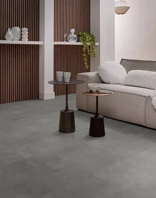 Ceramo Grey 4